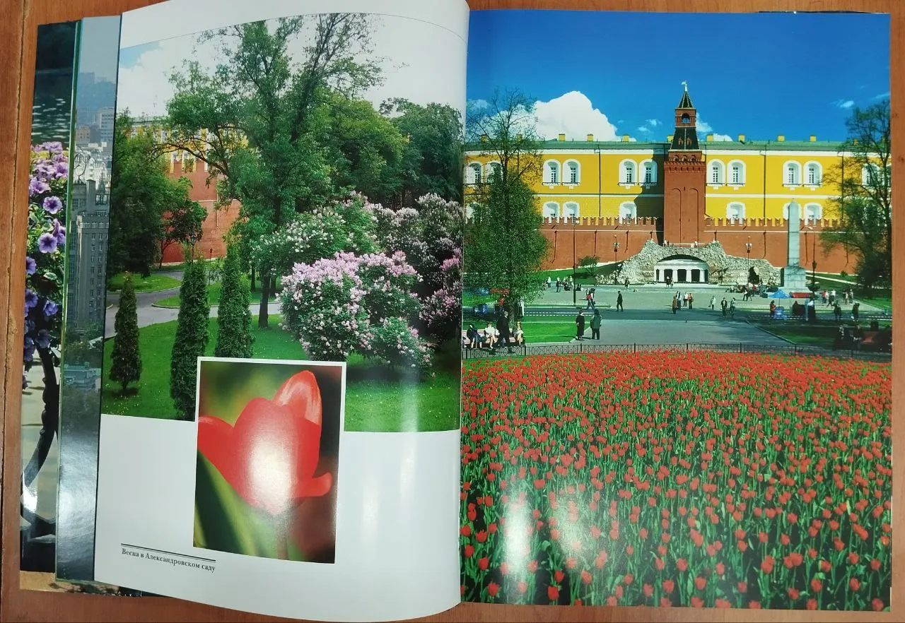 Москва в цветах фото 5