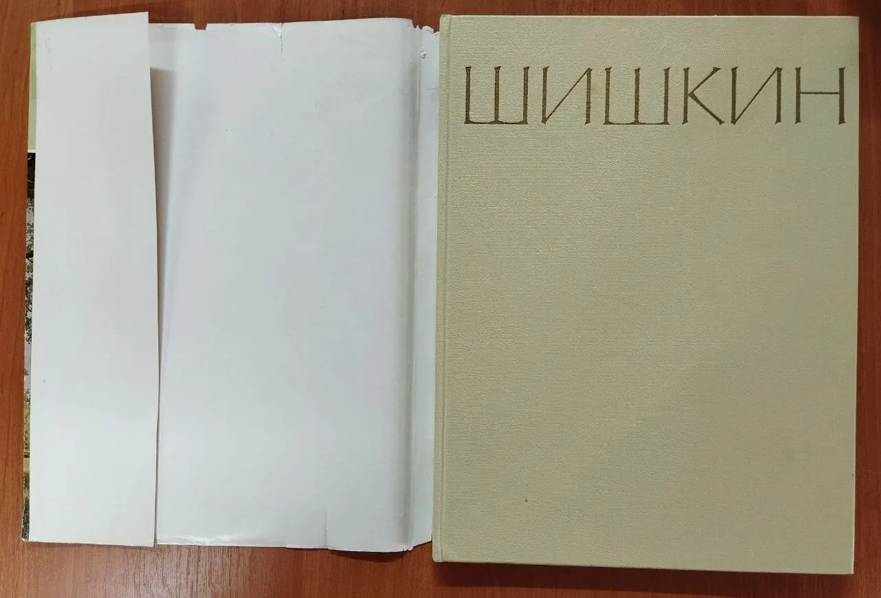 Шишкин фото 2