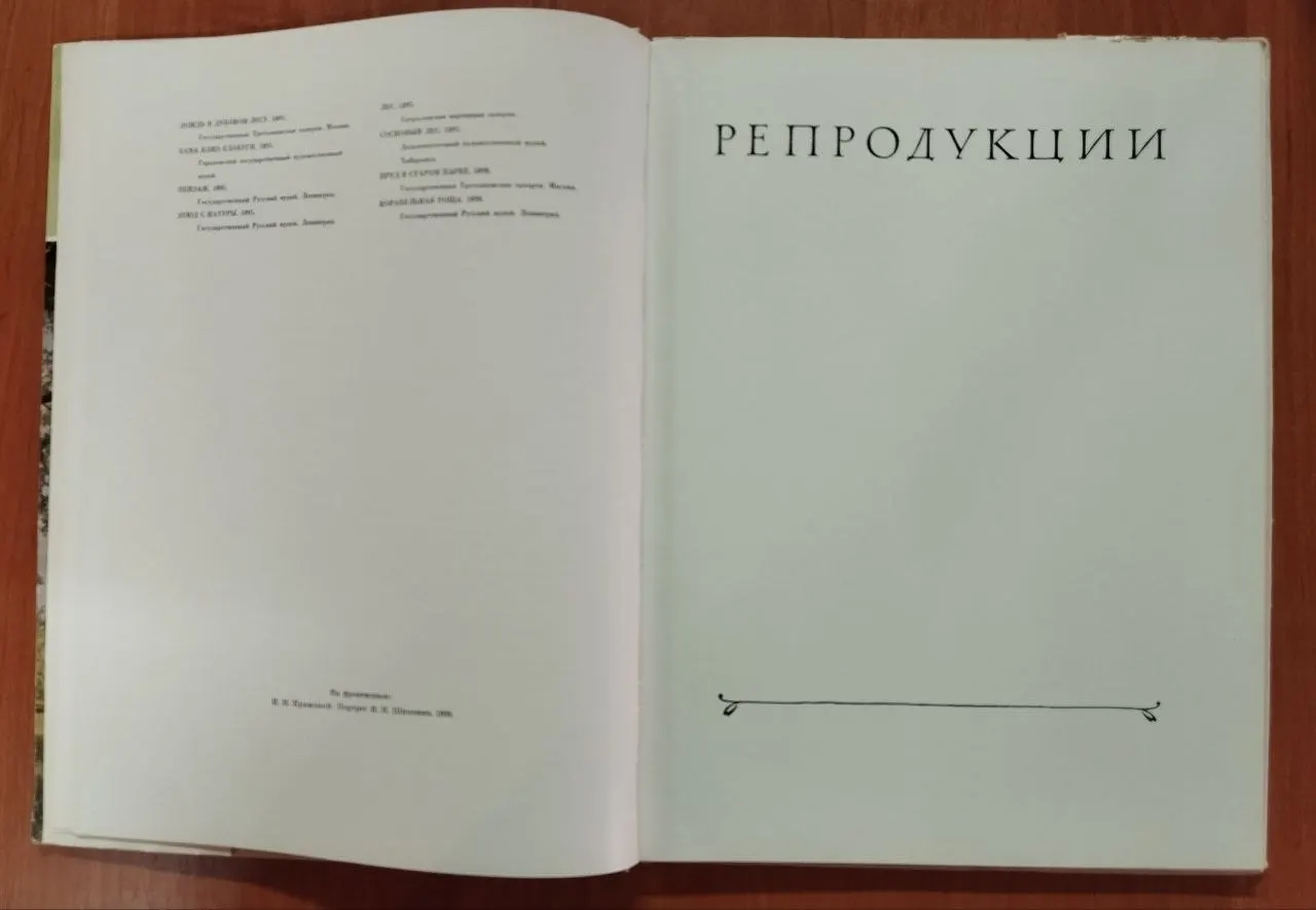 Шишкин фото 6