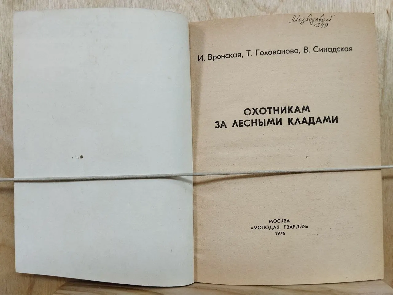 Охотникам за лесными кладами фото 2