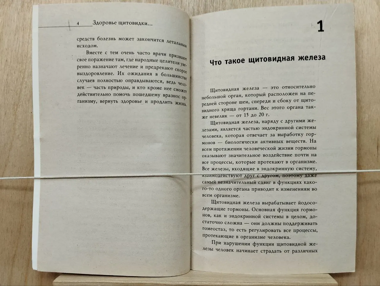 Здоровье щитовидки проверенными народными средствами фото 2