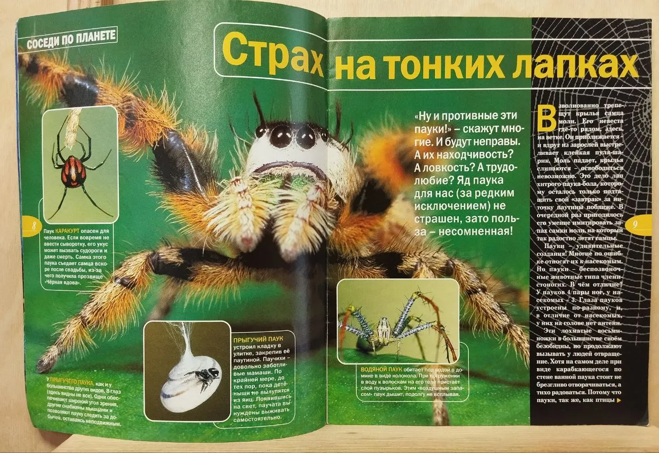 GEOлёнок. Про всё на свете. №10, Октябрь 2005 фото 3