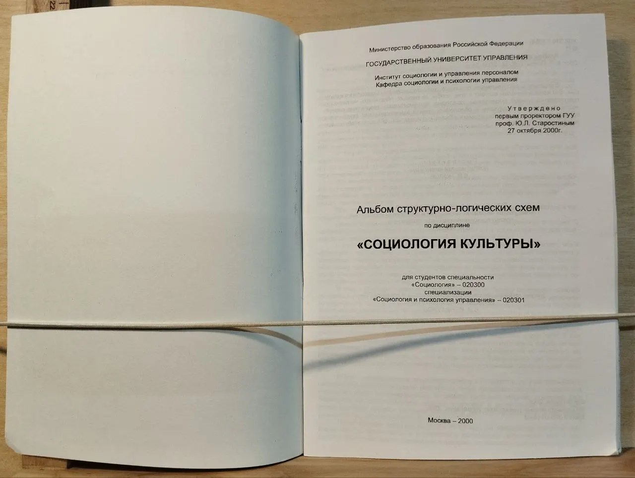 Альбом структурно-логических схем по дисциплине "Социология культуры" фото 2