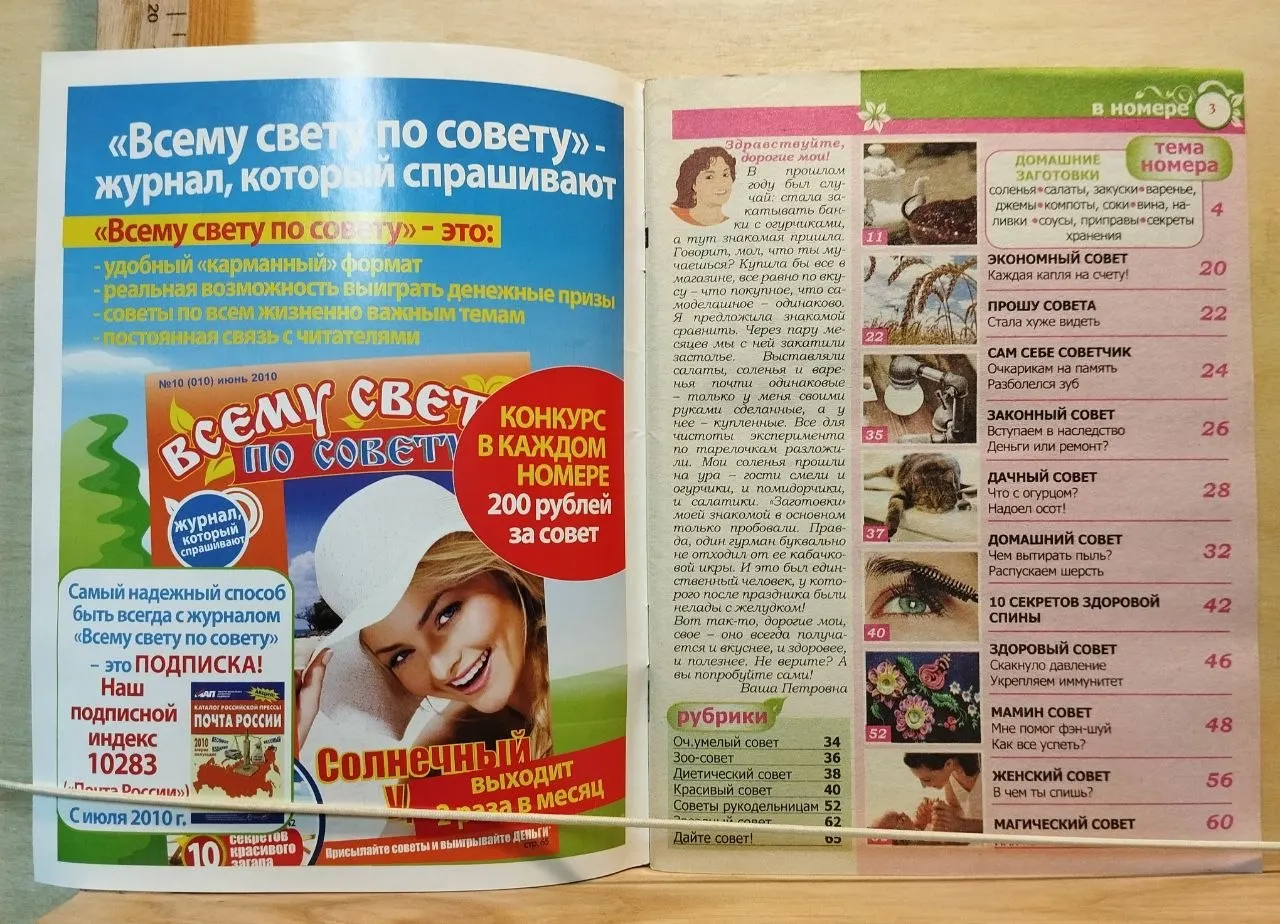 Журнал "Всему свету по совету. Домашние заготовки" №13 (013) июль 2010 г. фото 2