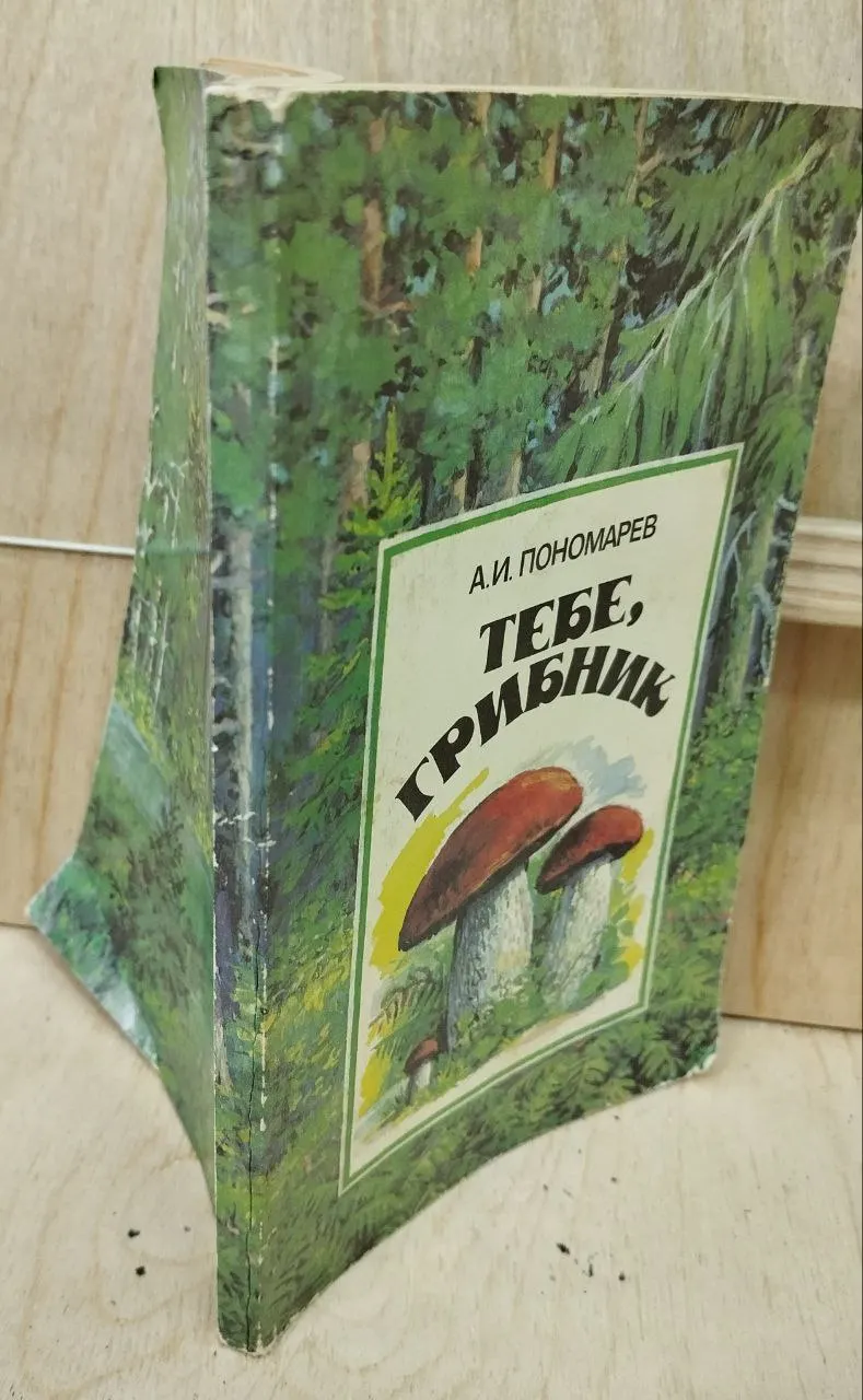 Тебе, грибник фото 6