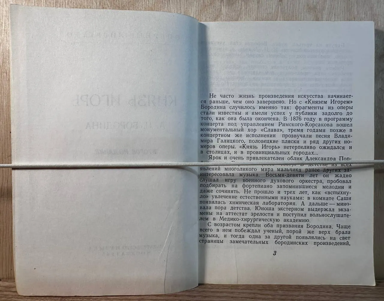 Князь Игорь. Оперное либретто фото 3
