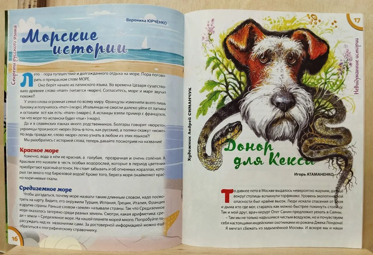 Журнал "Чудеса и приключения детям" №6 июнь 2019 г. фото 4