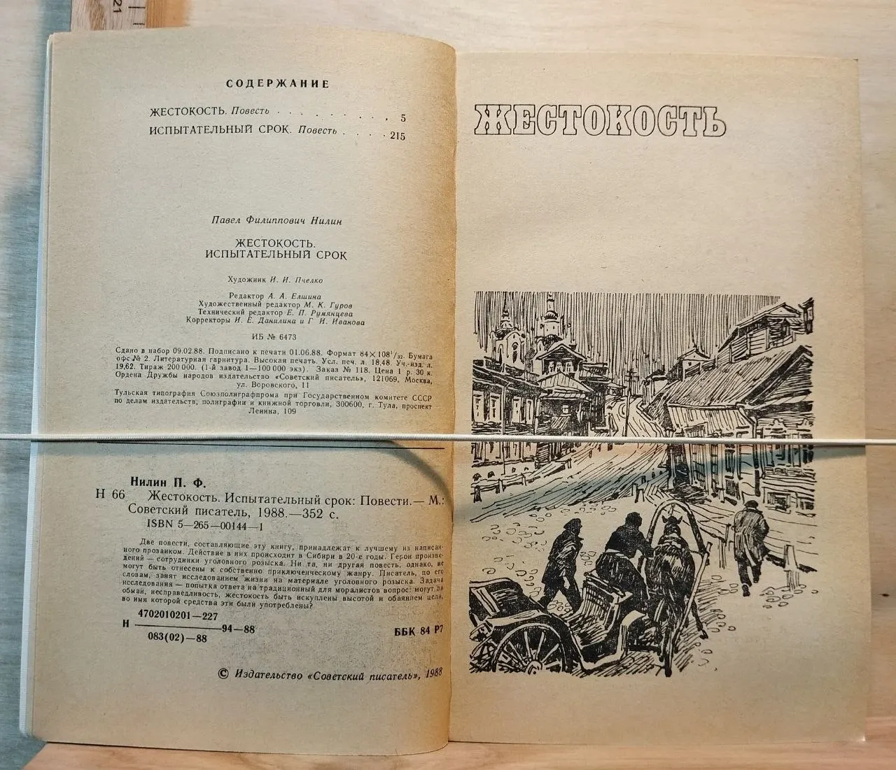 Жестокость. Испытательный срок фото 3