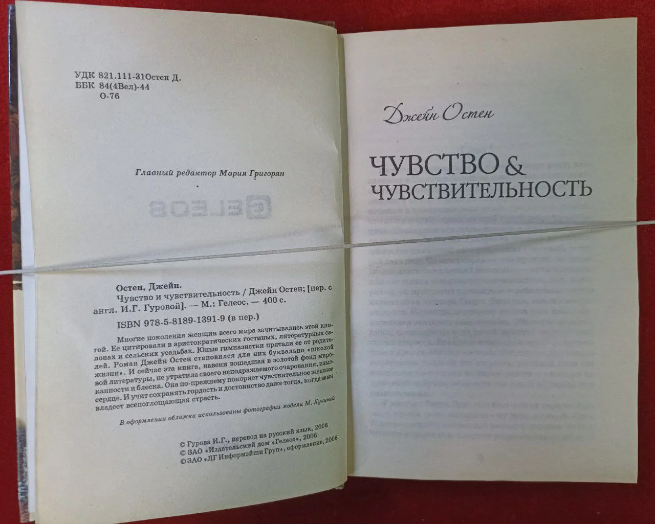 Чувство и чувствительность фото 2