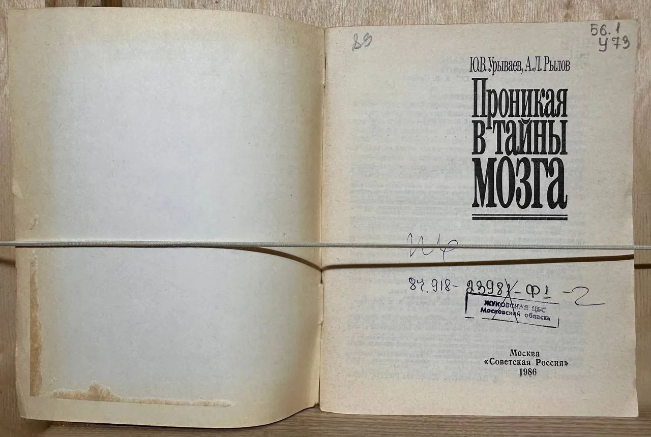 Проникая в тайны мозга фото 2