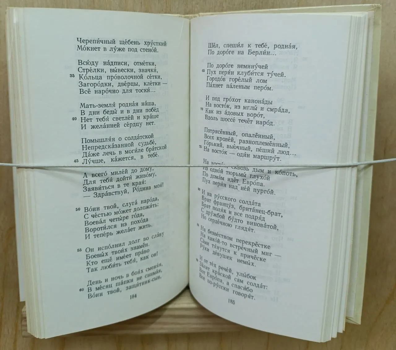 Василий Теркин. Книга для чтения с комментарием на английском языке фото 3