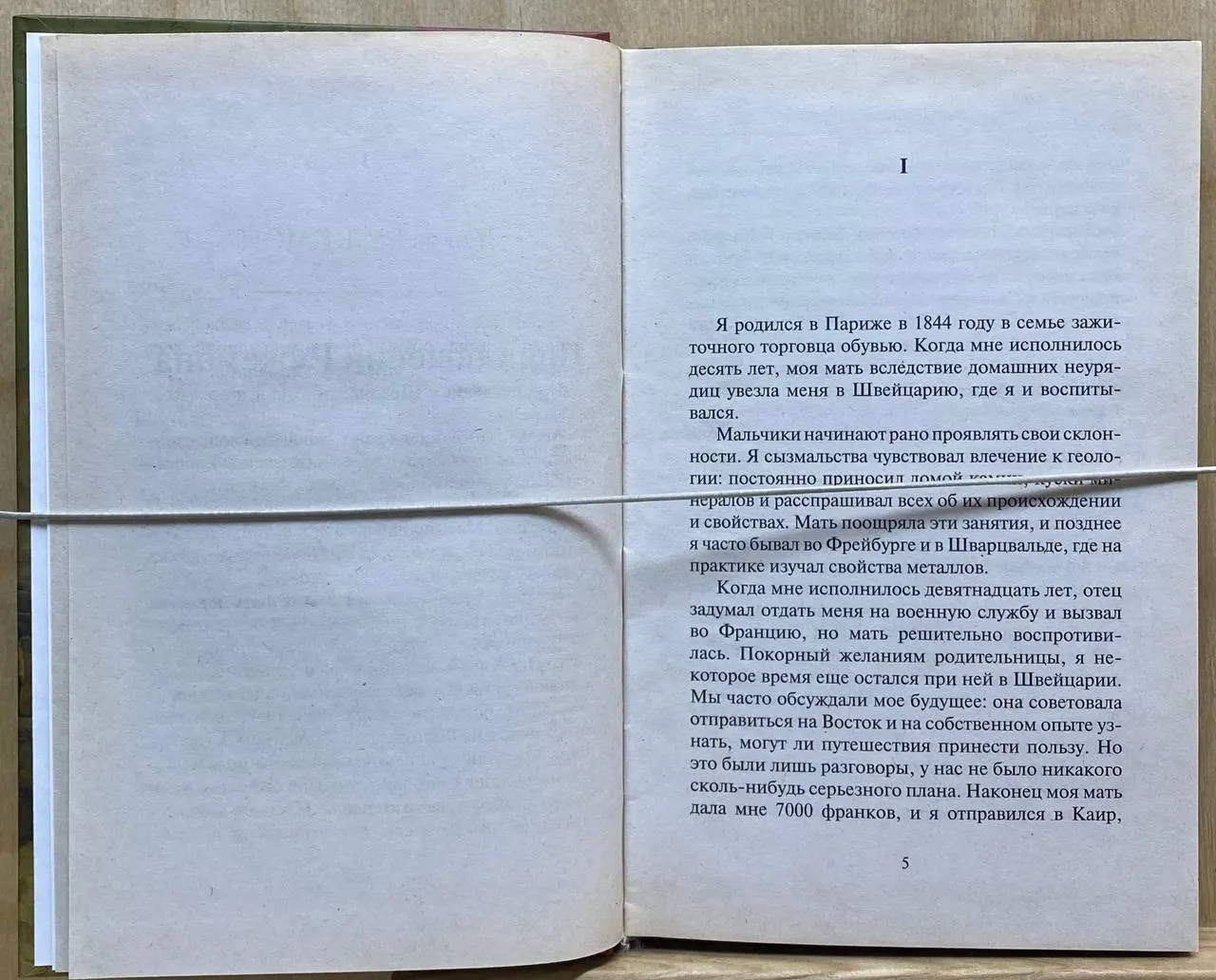 Приключения Ружемона фото 2