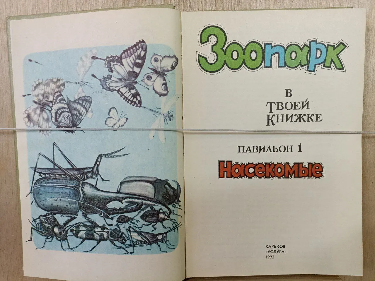 Зоопарк в твоей книжке: в 5 павильонах. Павильон 1 Насекомые фото 2