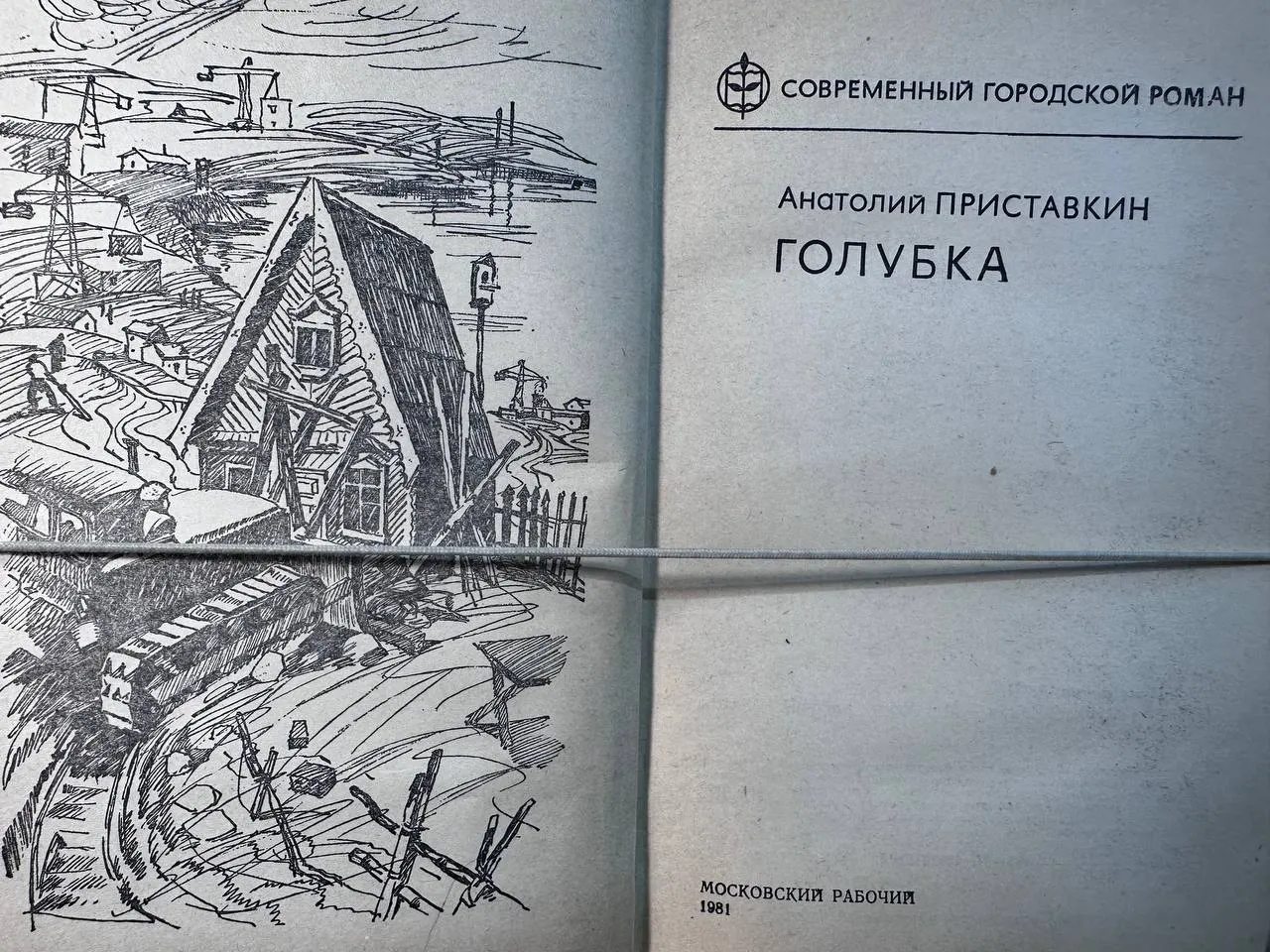 Голубка фото 2