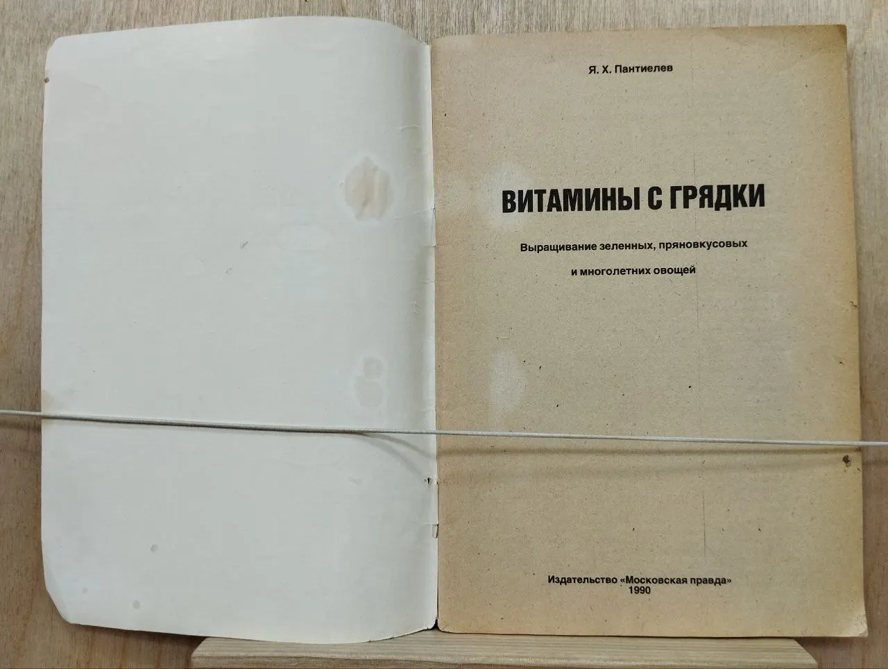 Витамины с грядки. Выращивание зеленных, пряновкусовых и многолетних овощей фото 2