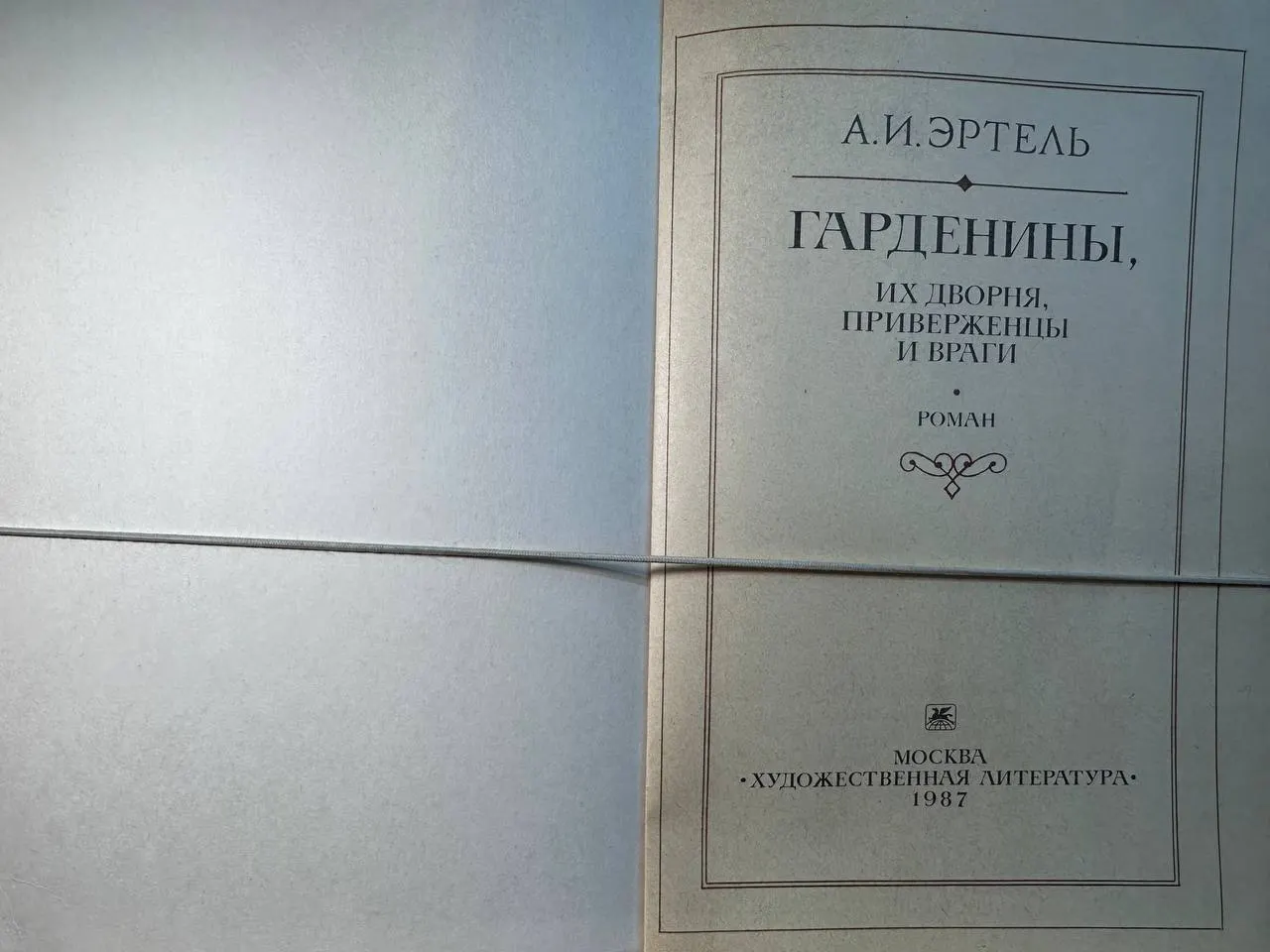Гардинины, их дворня, приверженцы и враги фото 2
