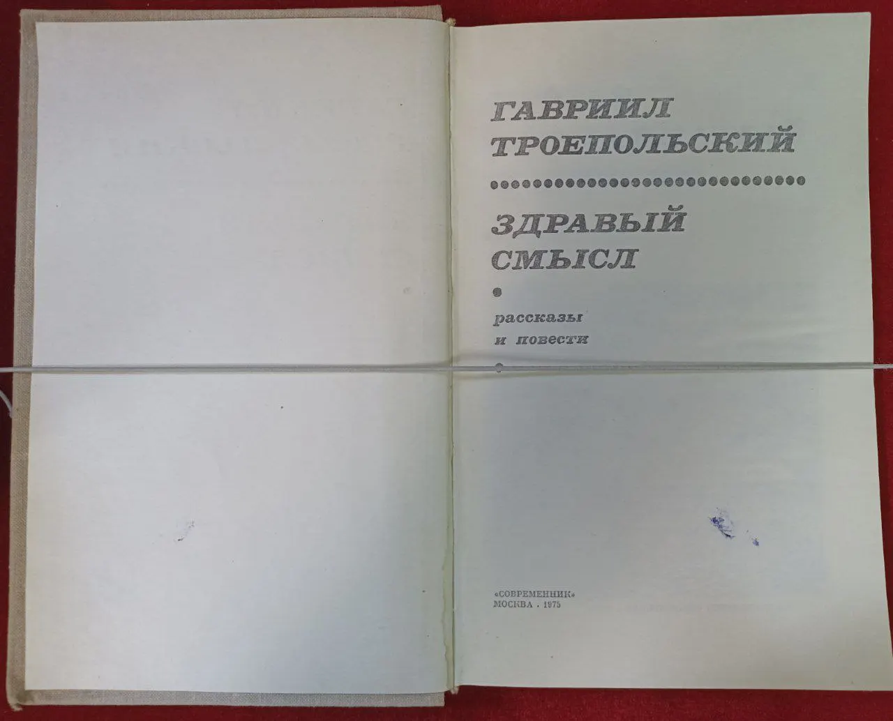Здравый смысл фото 2