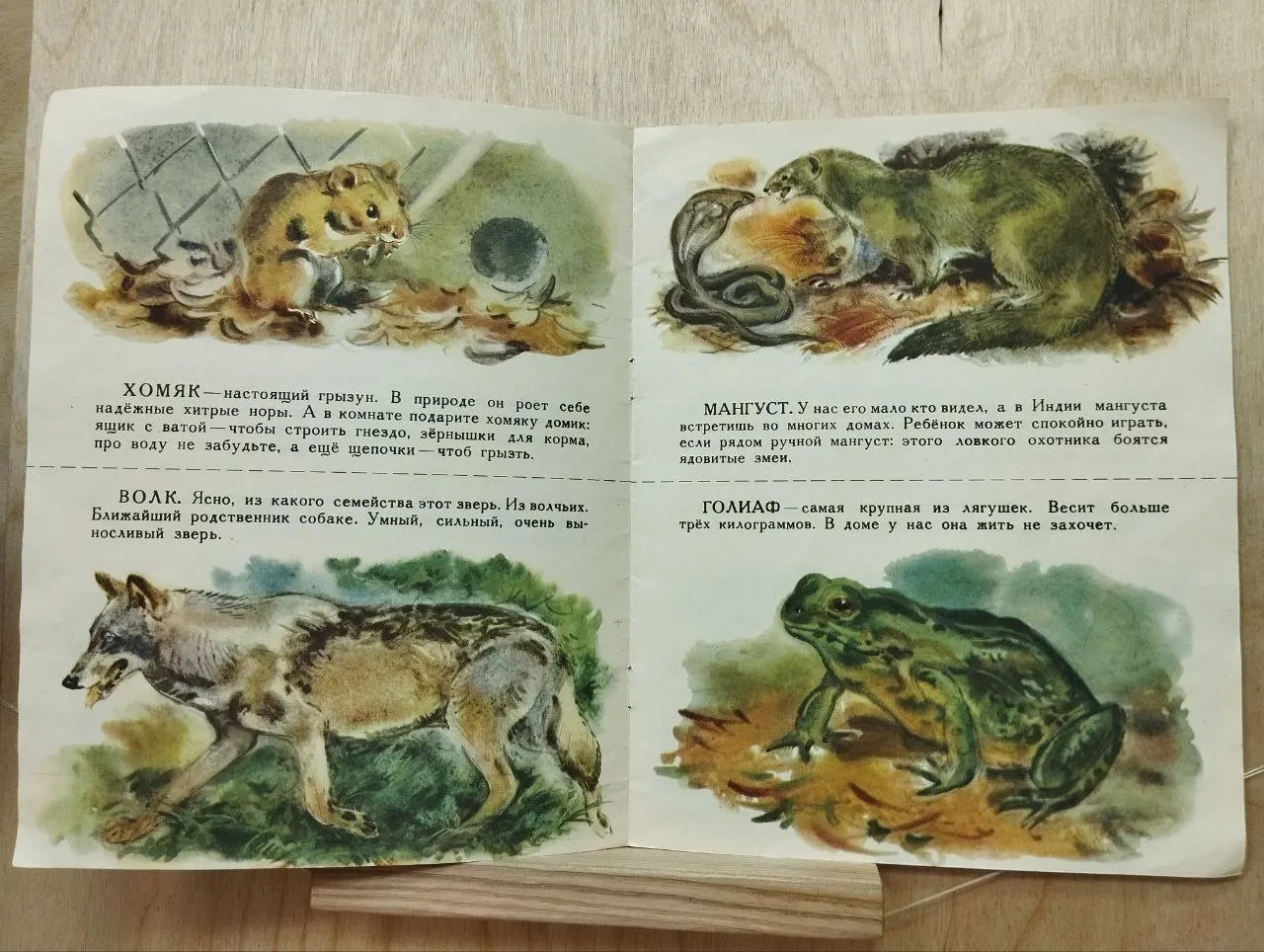 Знакомые незнакомцы фото 3