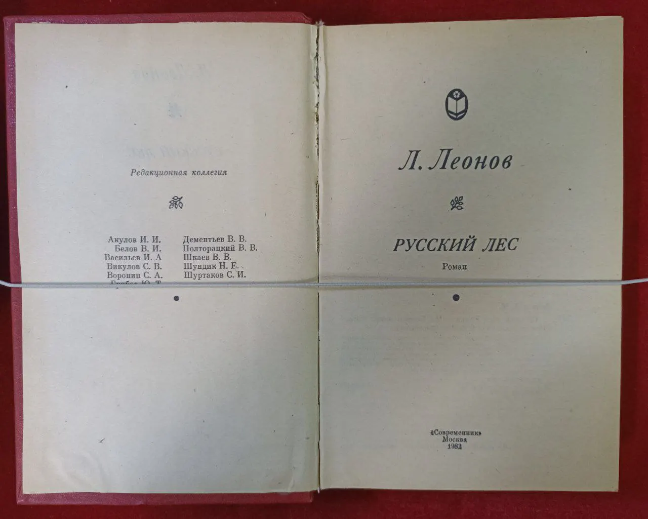 Русский лес фото 2