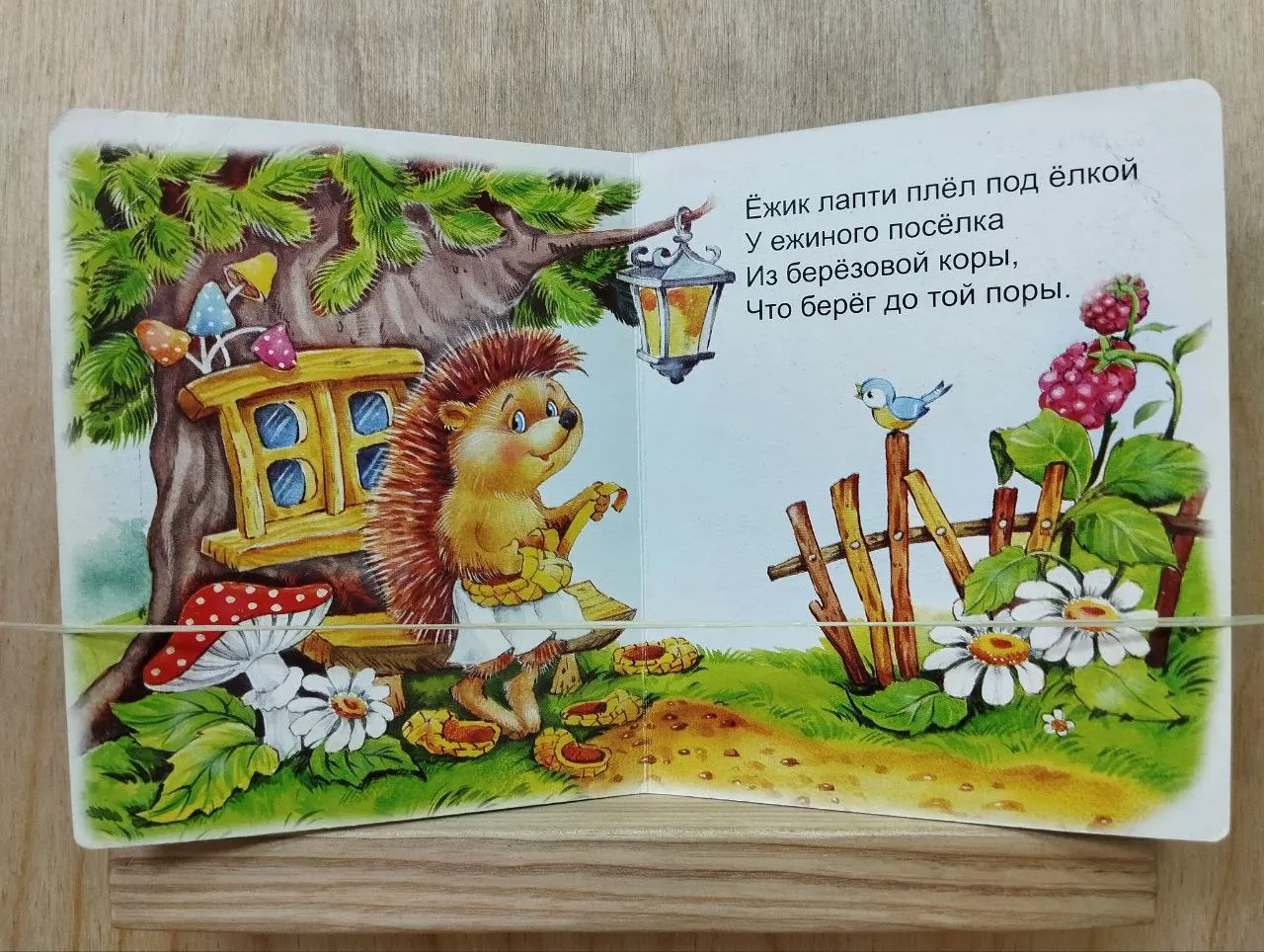 Ежик фото 2