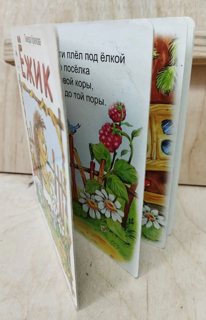 Ежик фото 3
