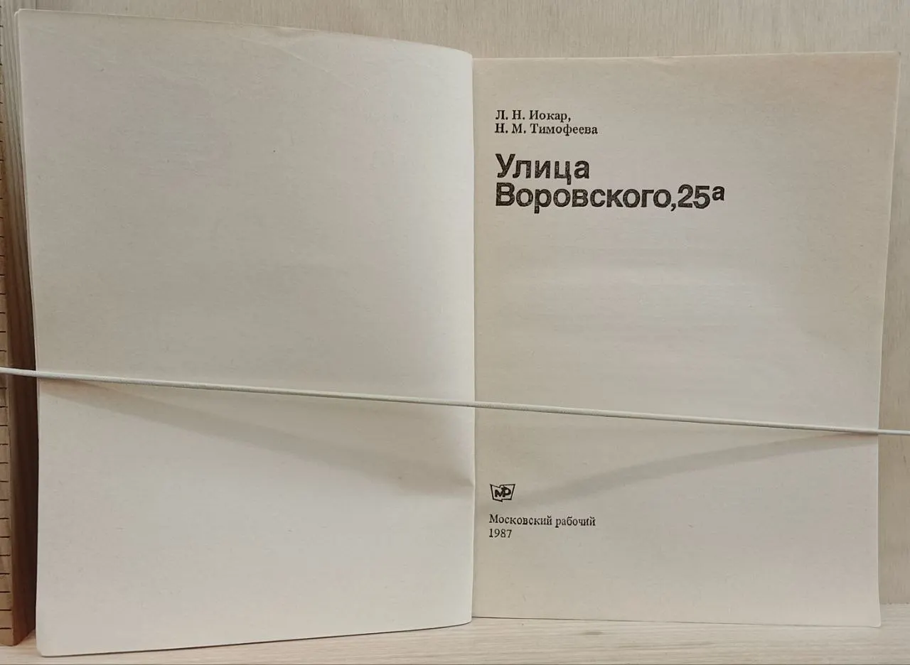 Улица Воровского, 25а фото 2