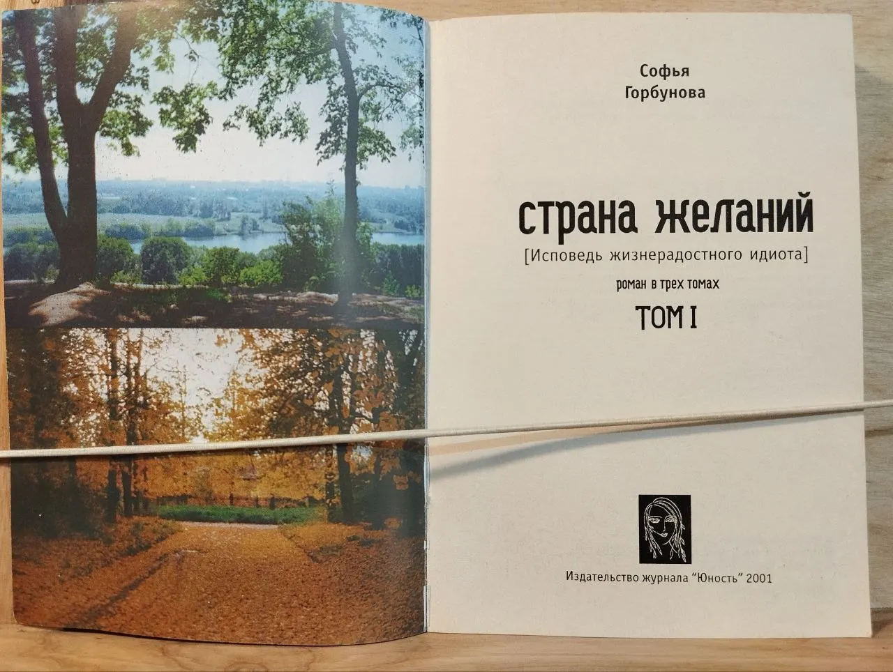 Страна желаний. Исповедь жизнерадостного идиота. Том I фото 2