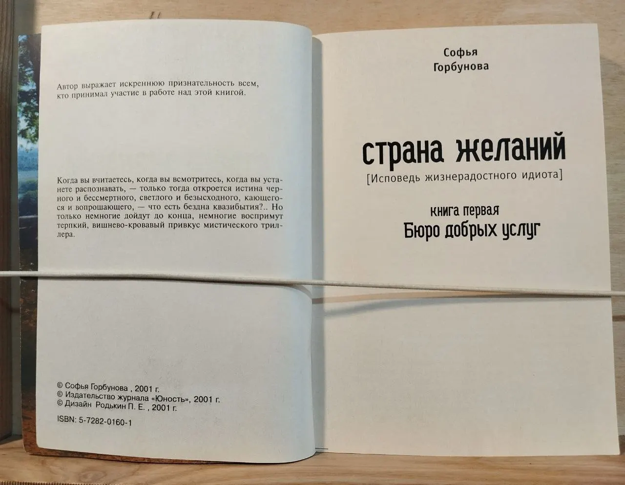 Страна желаний. Исповедь жизнерадостного идиота. Том I фото 3