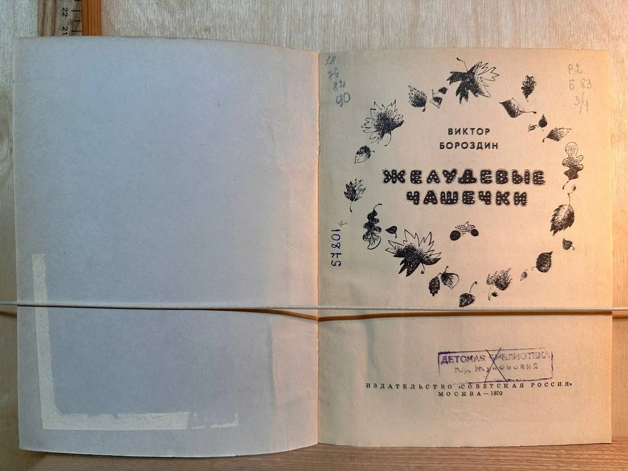 Желудевые чашечки фото 2