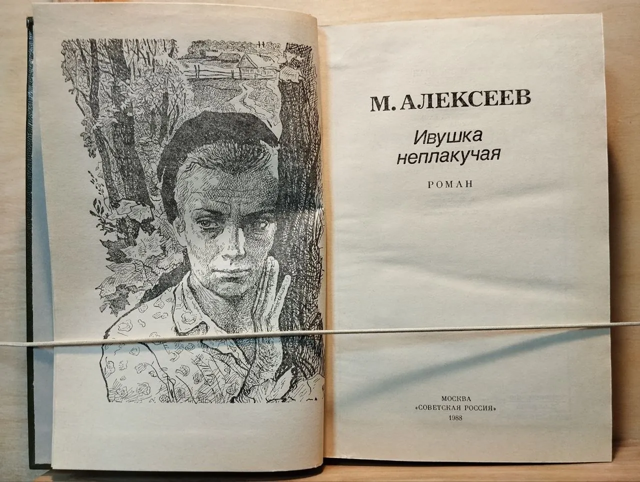 Ивушка неплакучая фото 2