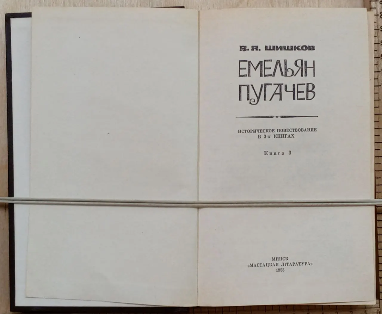 Емельян Пугачев. Историческое повествование в трёх книгах. Книга 3 фото 3