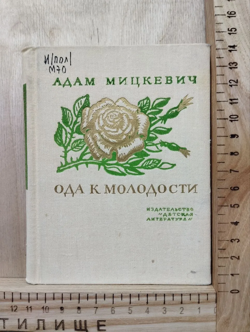 Ода к молодости