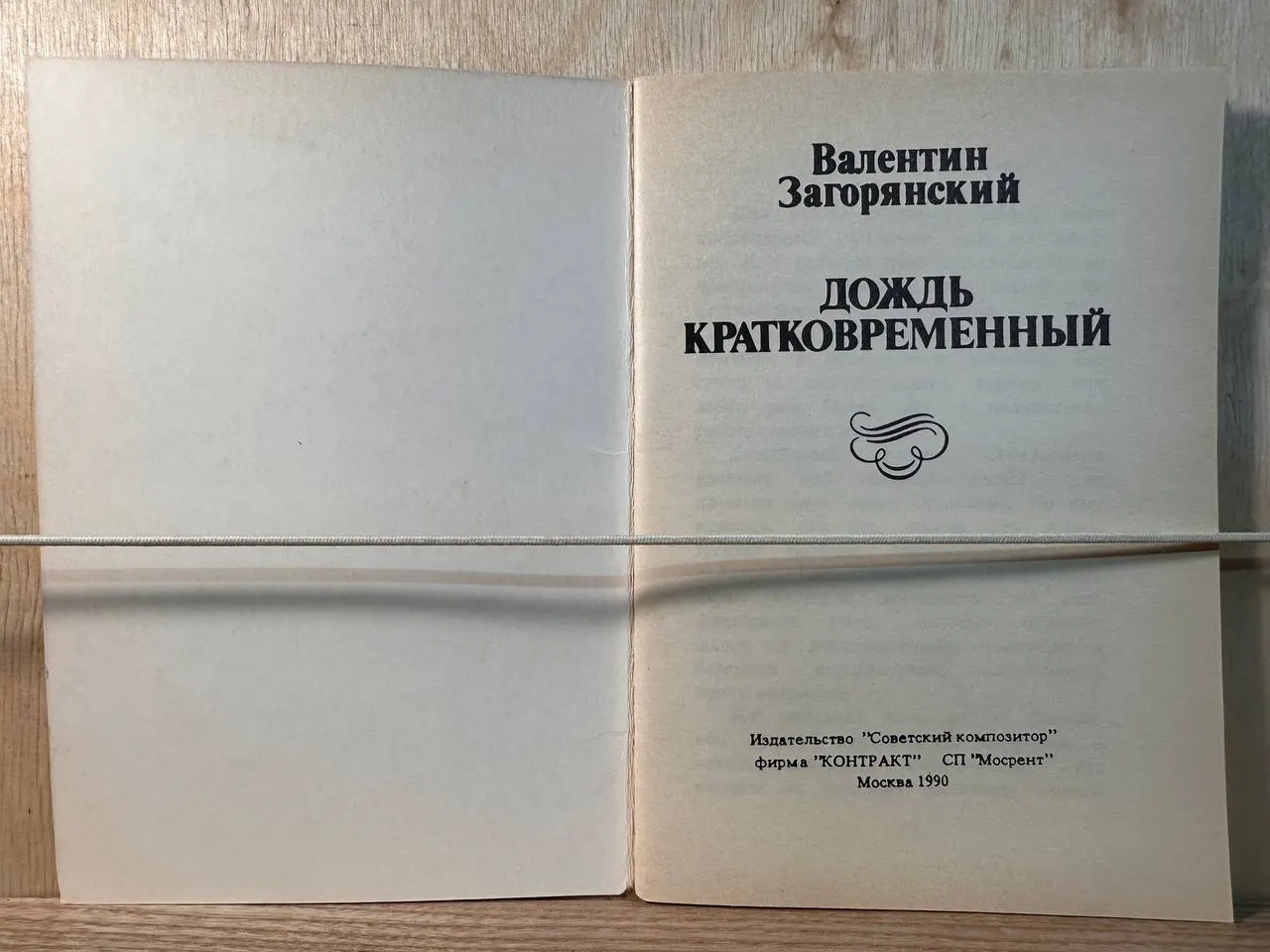 Дождь кратковременный фото 2