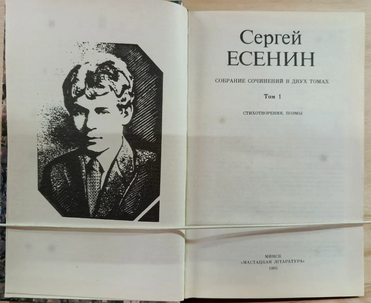 Собрание сочинений в двух томах. Том 1. Стихотворения. Поэмы фото 2