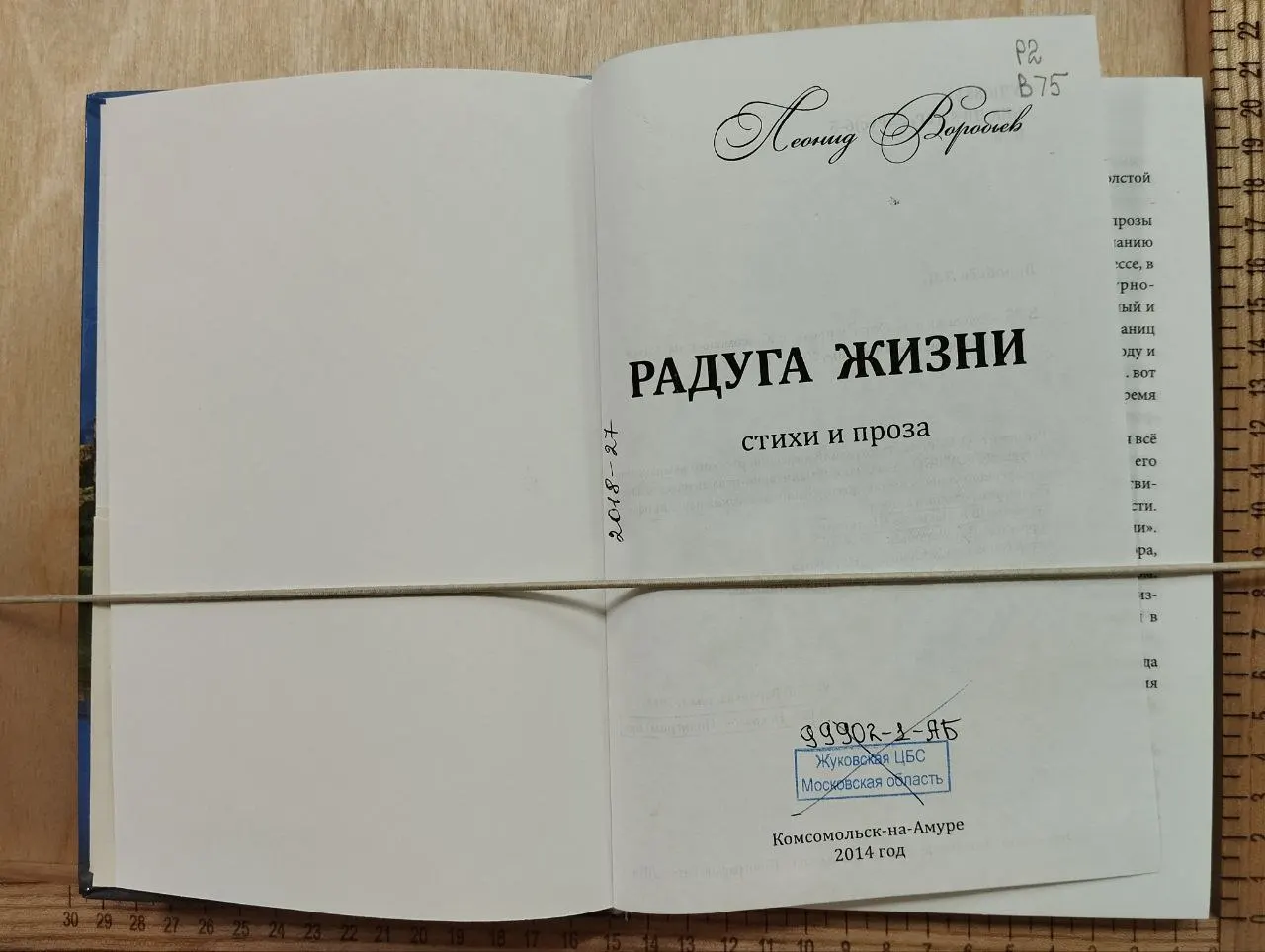 Радуга жизни фото 2