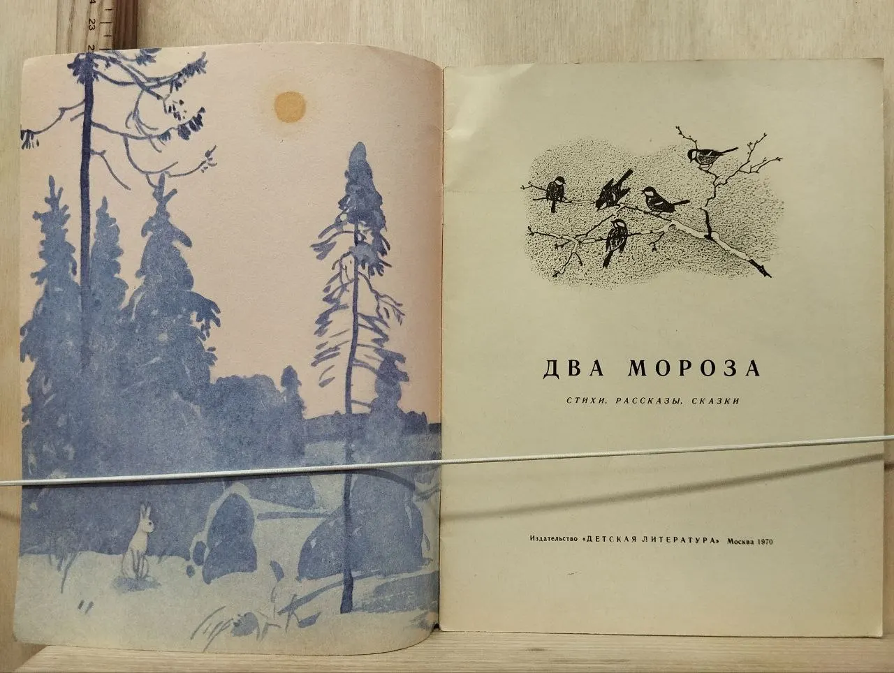 Два мороза фото 2