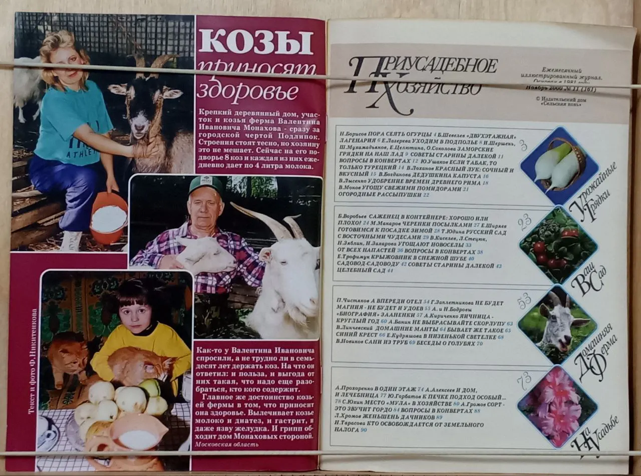 Журнал "Приусадебное хозяйство" №11 2000 ноябрь фото 2
