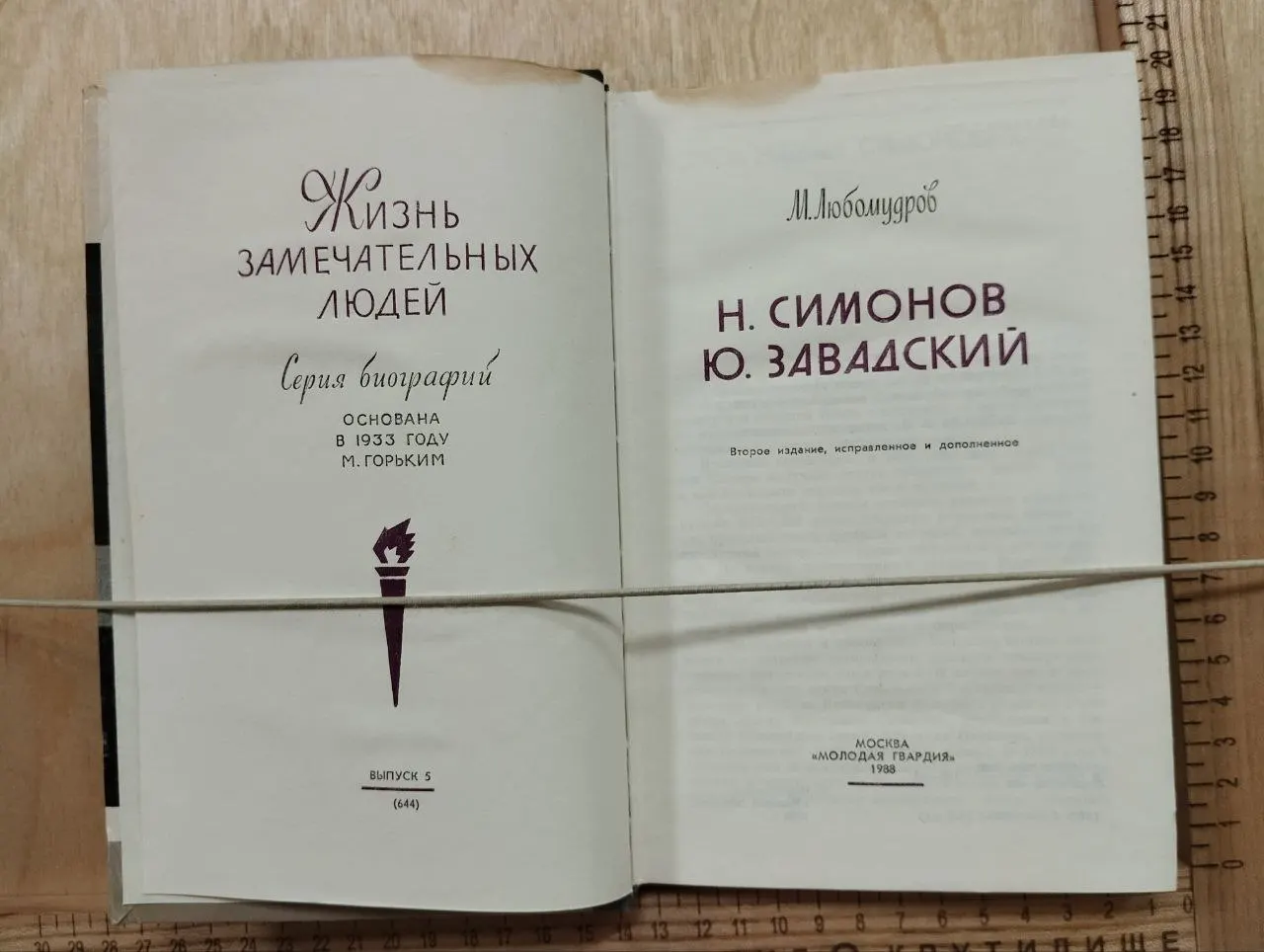 Н. Симонов, Ю. Заводский фото 2