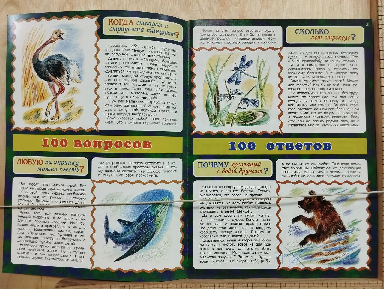 Познавательный журнал для детей "Отчего и Почему" 11/2020 фото 2