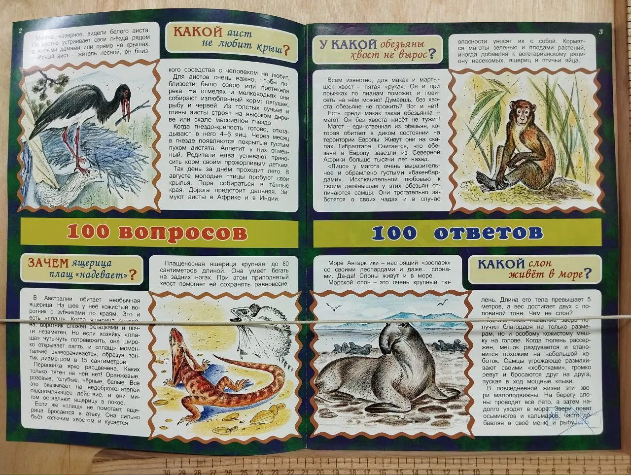 Познавательный журнал для детей "Отчего и почему" 8/2019 фото 2