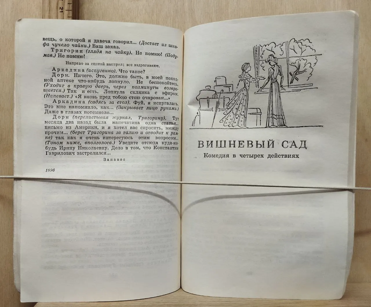 Чайка. Вишневый сад фото 4