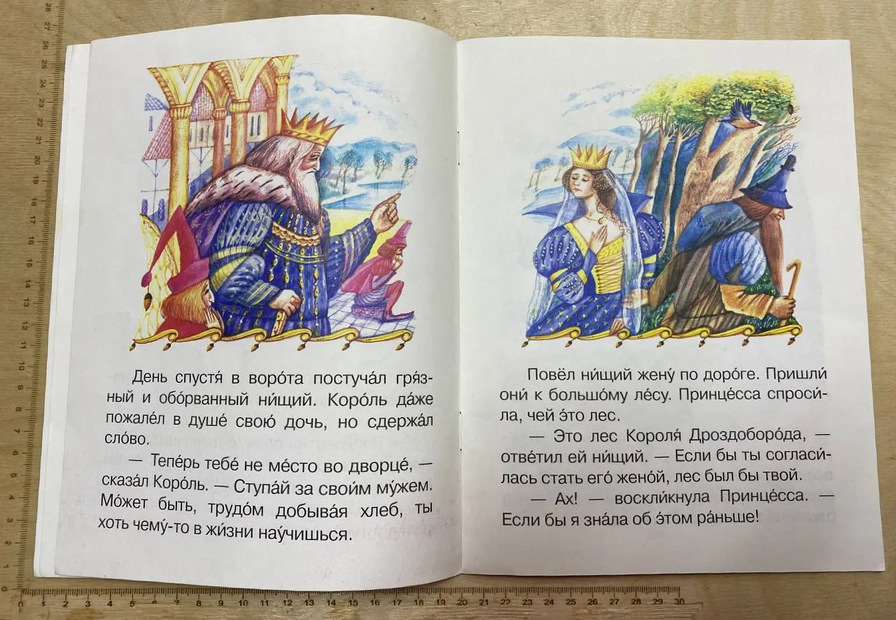 Король Дроздобород фото 2