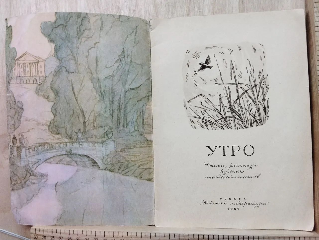 Утро фото 2