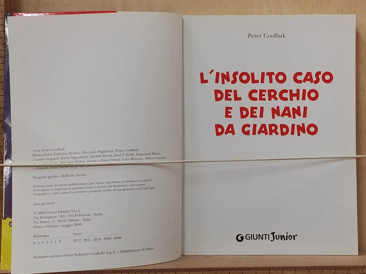 L'insolito caso del cerchio e dei nani da giardino фото 3
