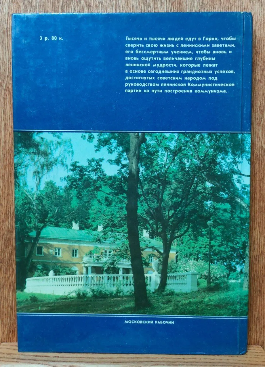 Горки Ленинские фото 2