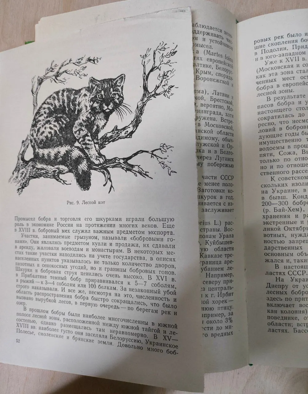 Охрана и обогащение фауны СССР фото 3