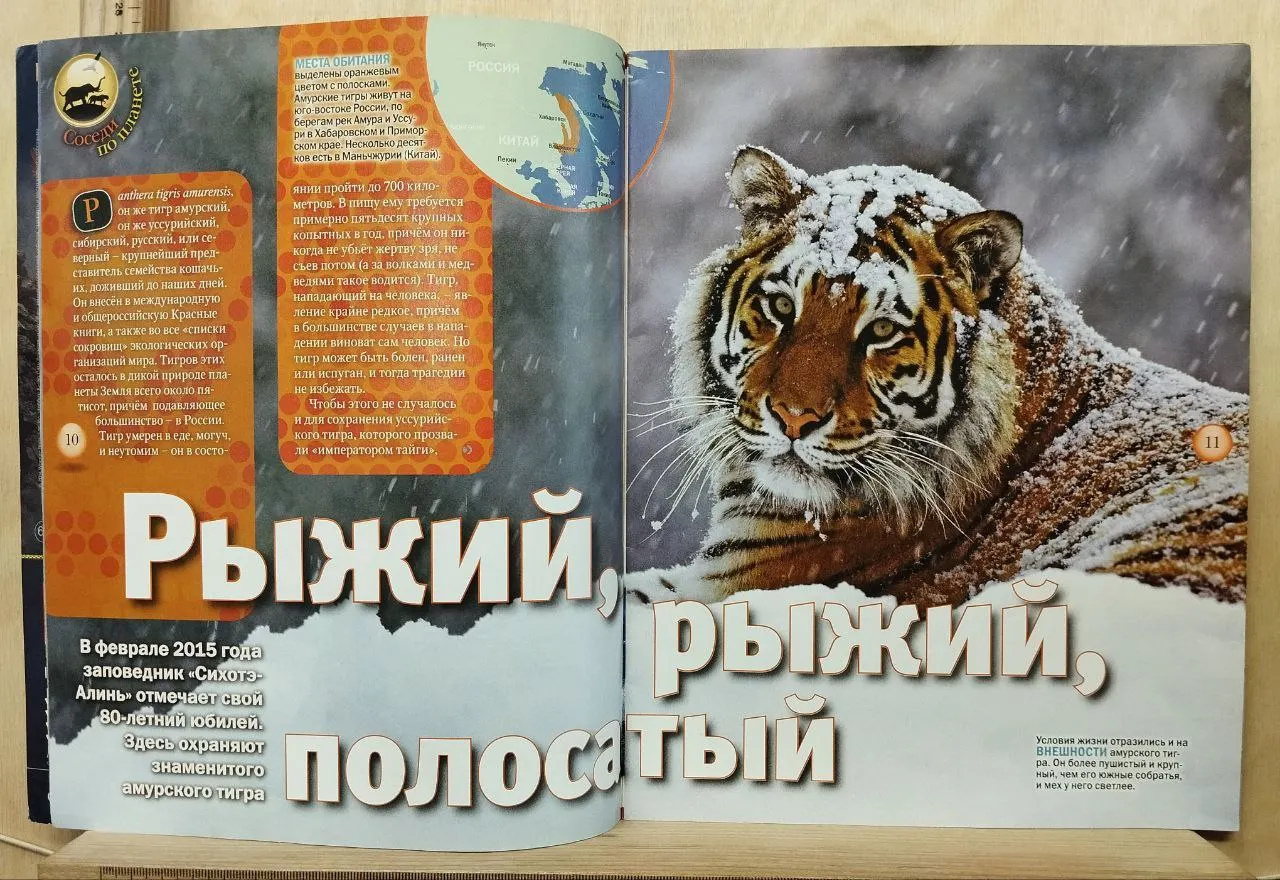 GEOлёнок. № 1 январь 2015. Про всё на свете фото 3
