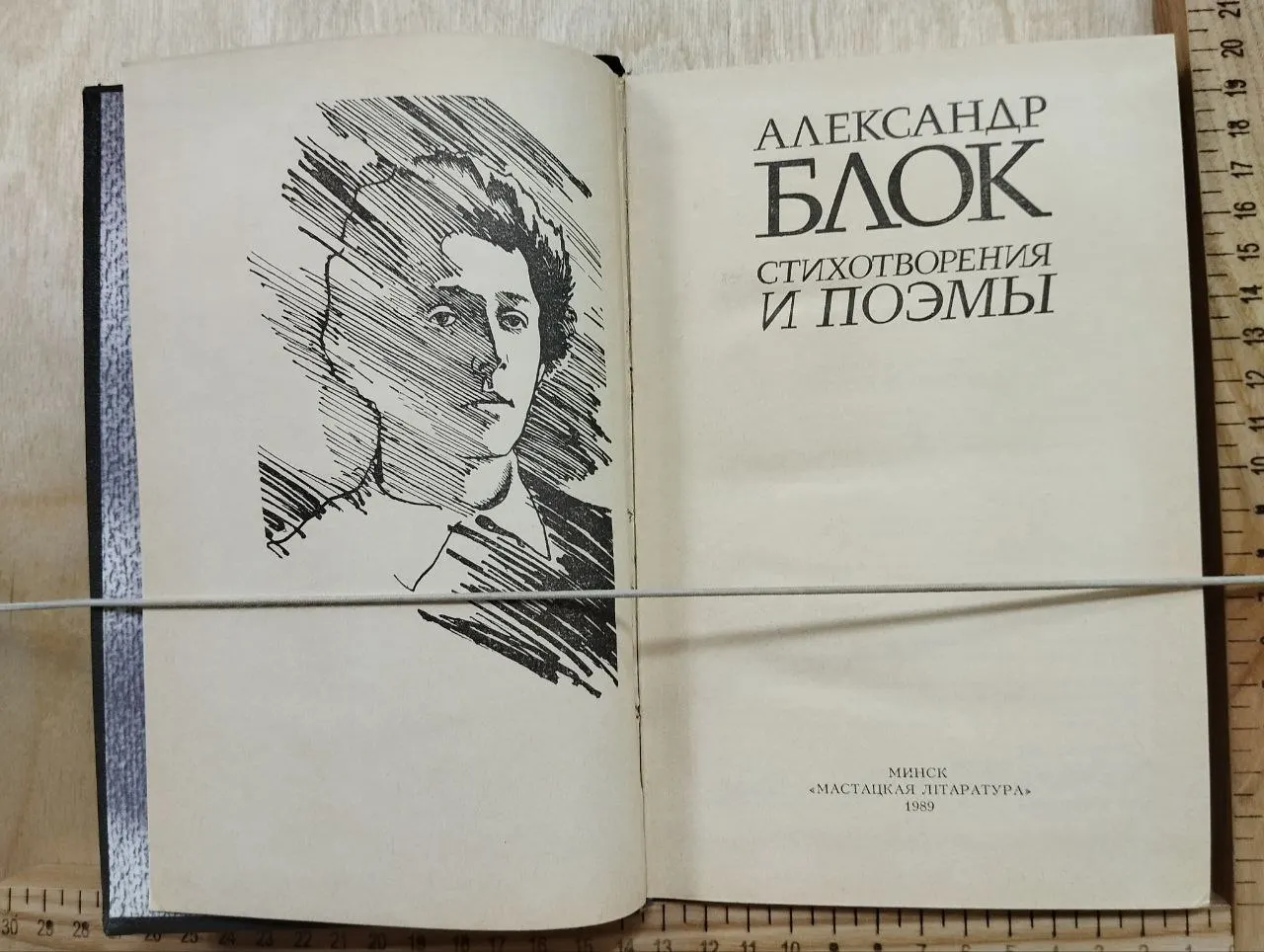 Стихотворения и поэмы фото 2