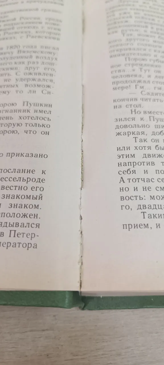 Пушкин в изгнании фото 2