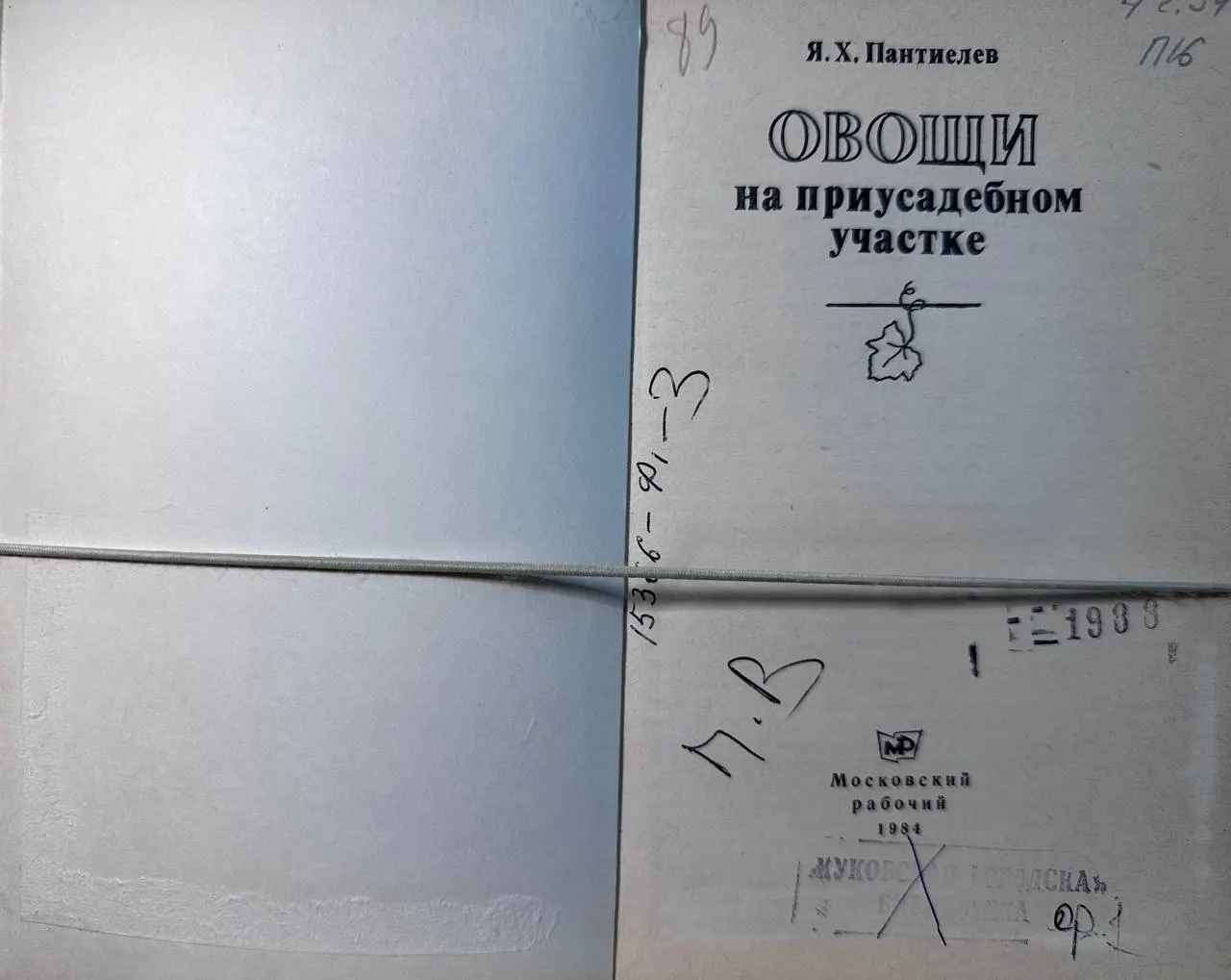 Овощи на приусадебном участке фото 2